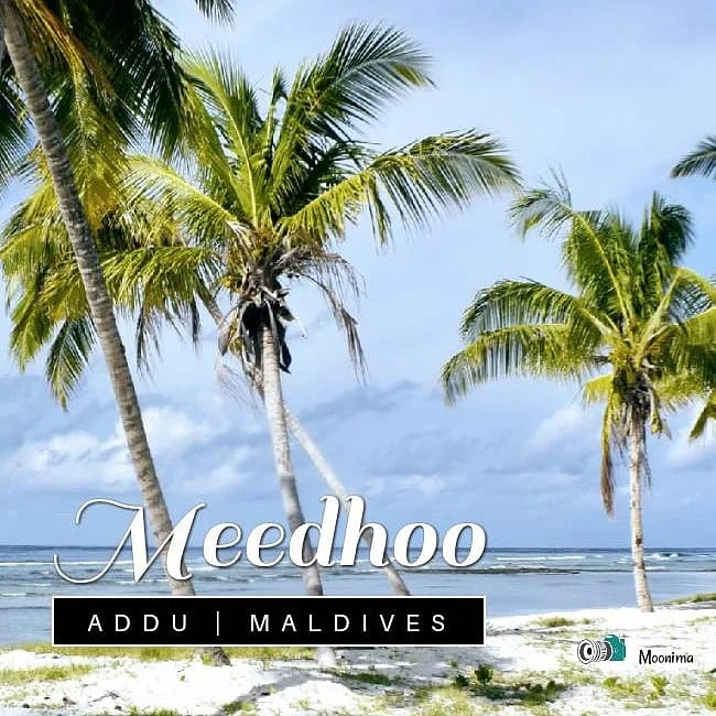 #visitmeedhoo #Meedhoo #maldivesislands #maldives #charmingholidaylodge #budgettravel #travel #vacation #beachholiday #scubadiving #AdduCity #sunnysideoflife charmingholidaylodge.com