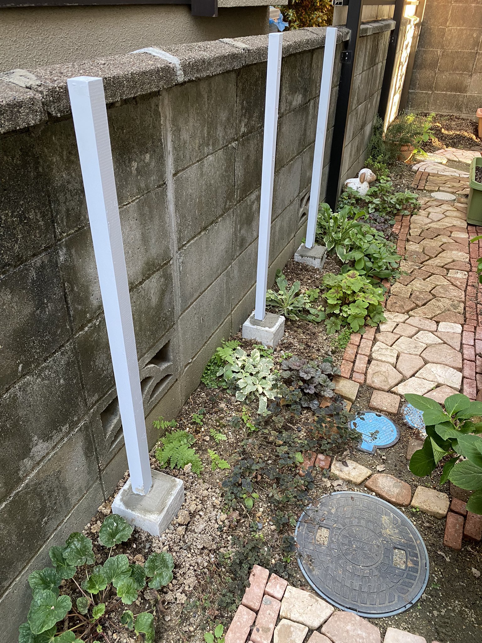 にしのっちの家庭菜園 1abdrjgnyywhsw8 Twitter