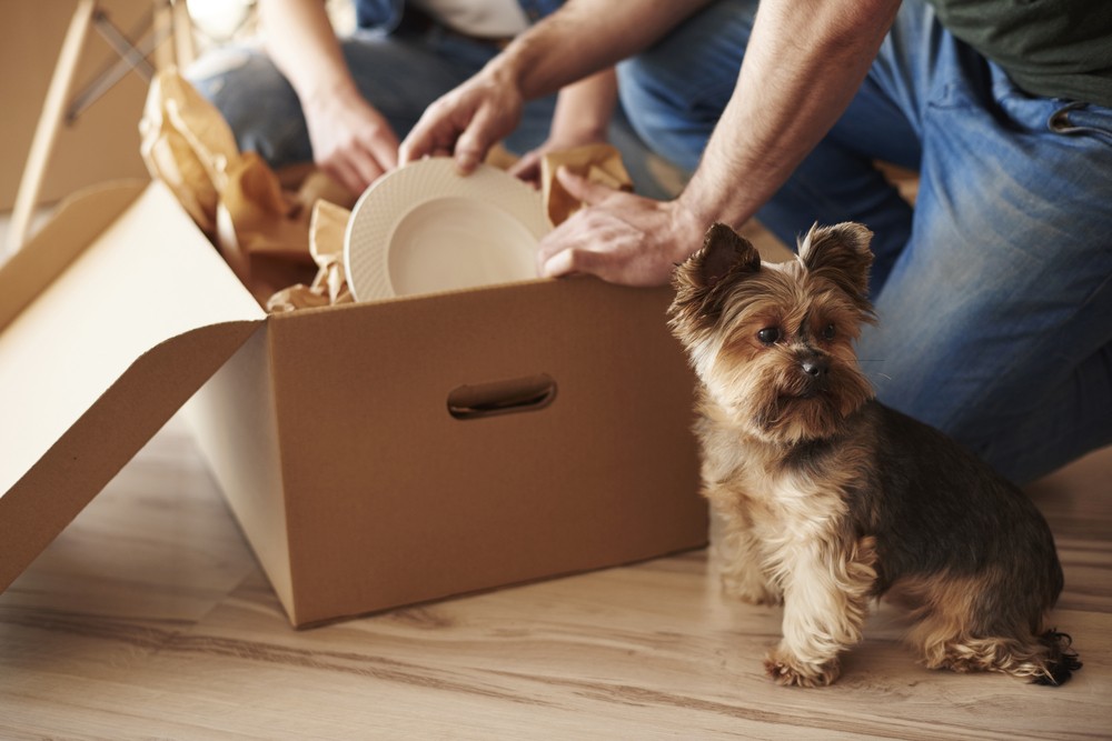 Checklist for moving up to a larger home akya.io/61486AdBaCdC4