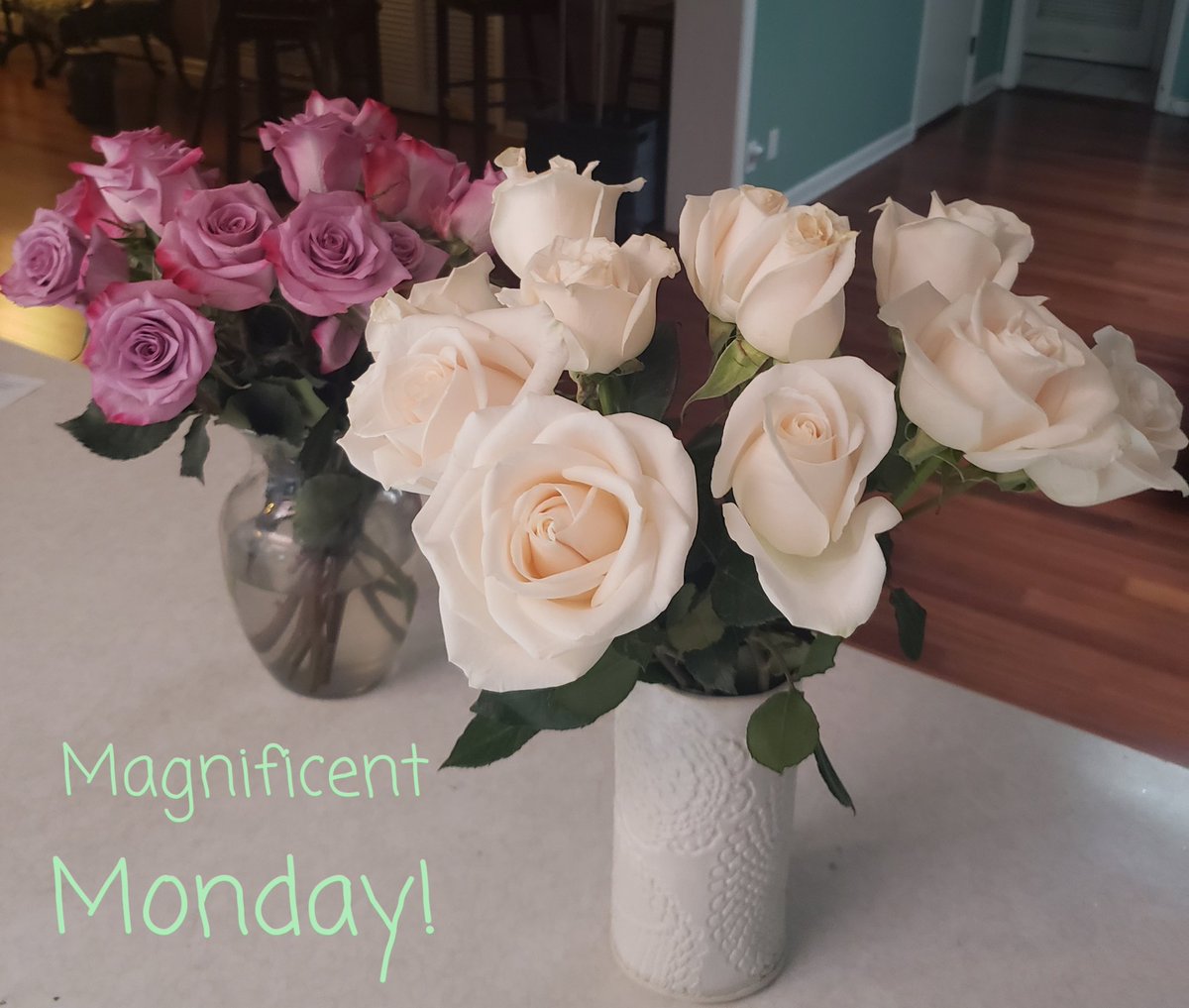 DotSkipper's tweet photo. It's a Magnificent Monday! Great start to a new week💜
#BeAmazingToday https://t.co/CfBkcF5ces