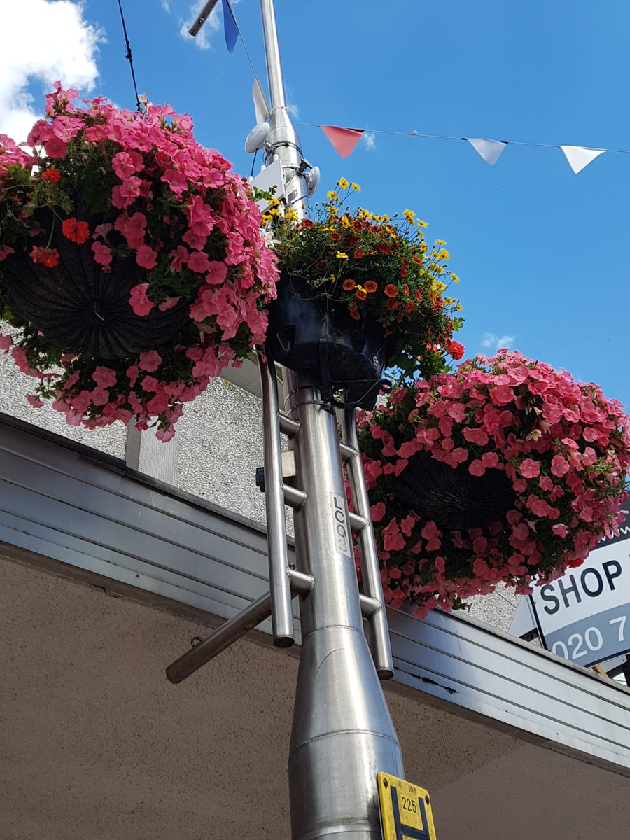 southendcitybid's tweet photo. We love being able to adorn the High Street with floral planters and bunting across spring and summer each year.

They'll be here for another month before being replaced with something a little more sparkly.......

#Bunting #FloralBaskets #Streetscape #BID #ChristmasIsComing https://t.co/GjoZNKqBL0