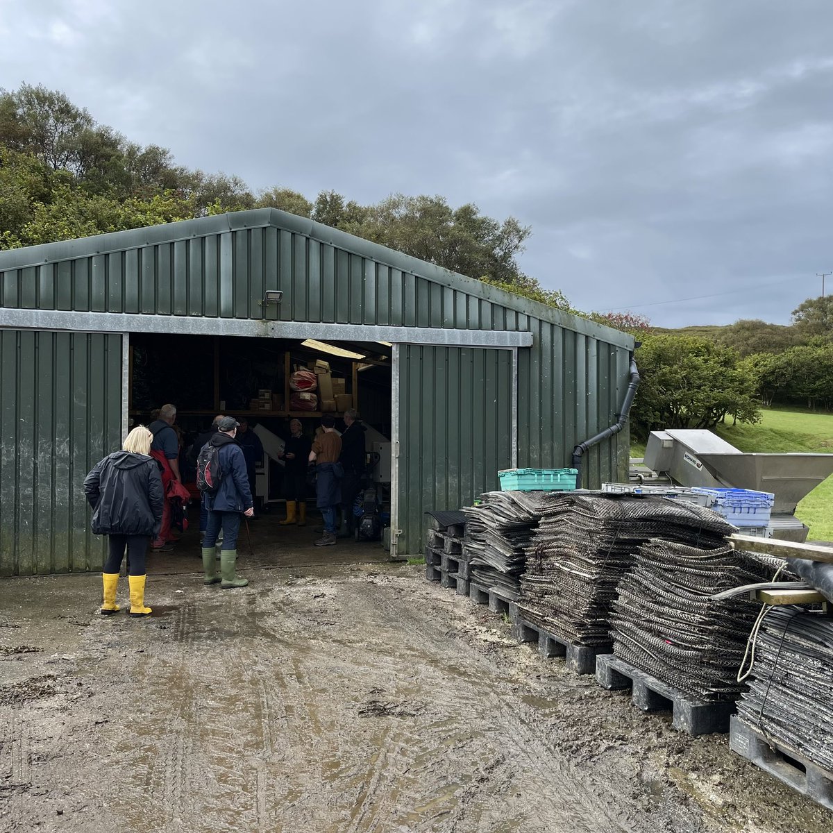 Enjoying the Oyster tour at Isle of Mull Oysters @gturnbull1 part of  <a href="/iona_mull/">Seafood Mull & Iona</a> #SeafoodWeek #MullMoveableFeasts #regionalfoodfund @scotfooddrink