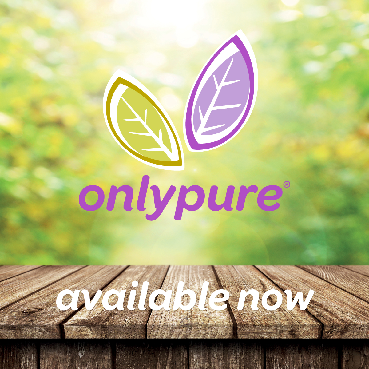 Onlypure4's tweet image. A glass of Only Pure a day helps you lead your lifestyle in a healthy way! No added sugars and preservatives.
Available at onlypure.site
#noaddedpreservatives #noaddedsugars #healthylifestyle #wellness #health #lifestyle #fruit #goodhealth #life #juice #vegan #nutrition