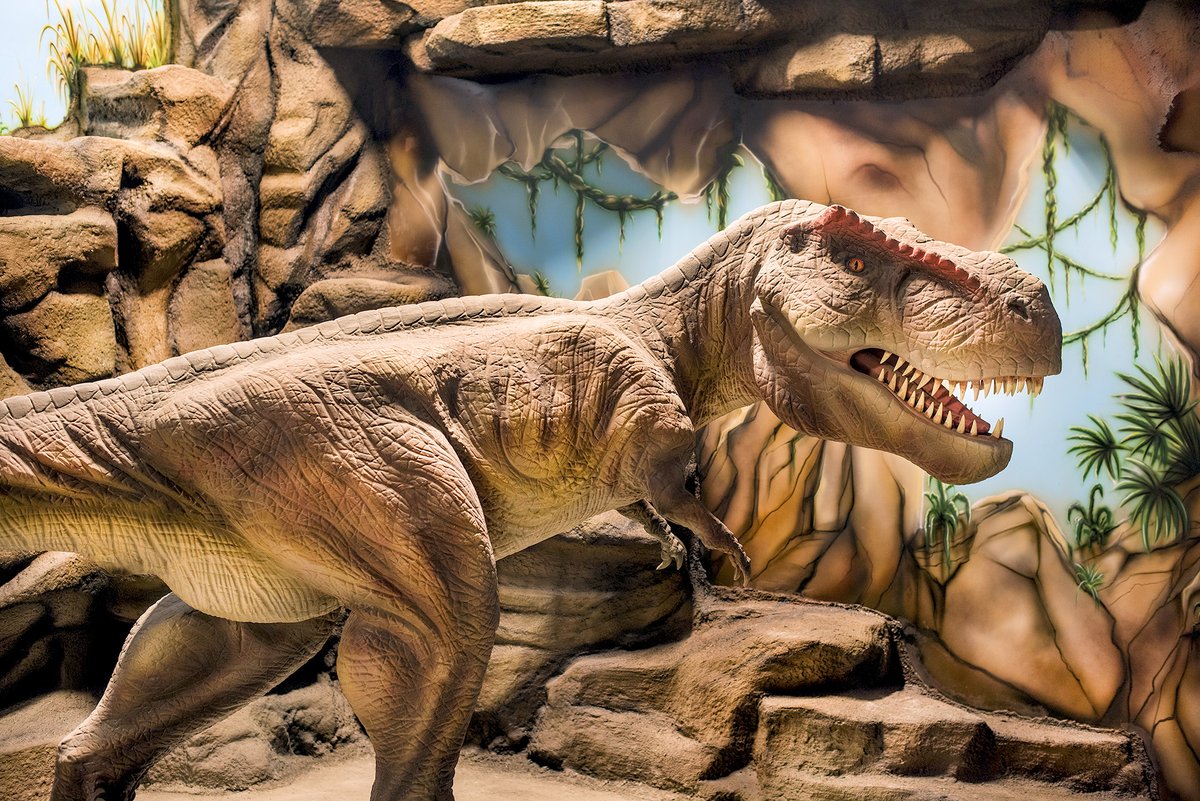 SPI Global Play tweet media