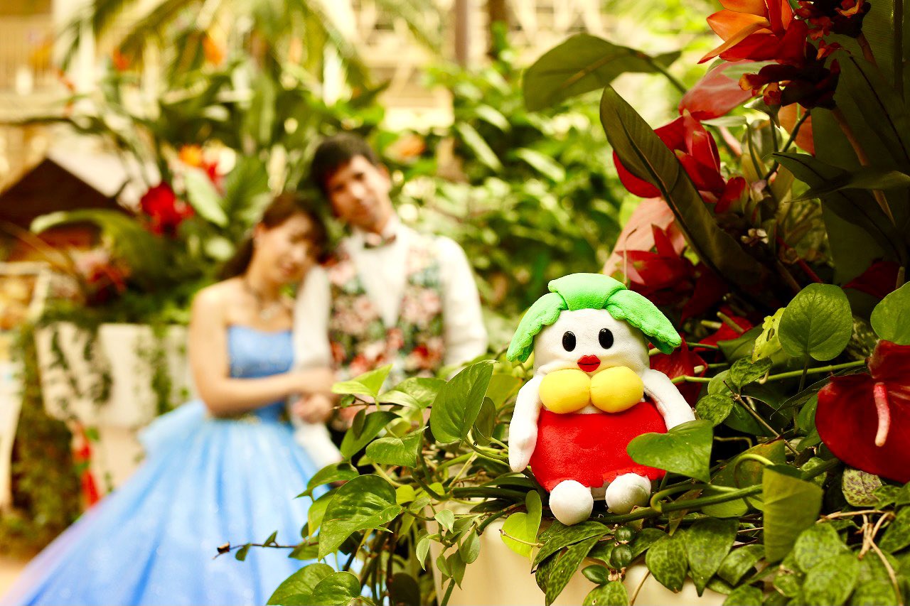 公式 ハワイアンズホテルウエディング Hawaiians Hotel Twitter