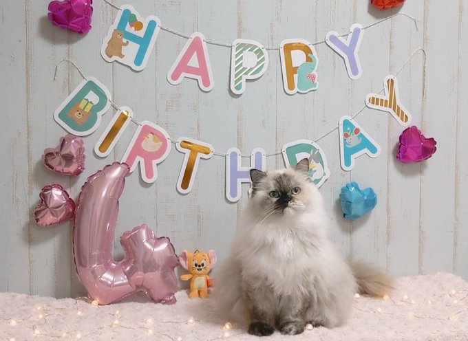 ずっとずっとずっと の評価や評判 感想など みんなの反応を1日ごとにまとめて紹介 ついラン