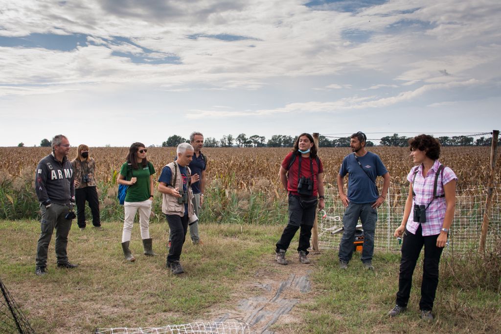 ISPRA_Press's tweet photo. @ScienzaInsieme #Netscience, passeggiando ieri per le valli del Mezzano per vedere la #starnaitalica, estinta in natura ma recuperata grazie al progetto #Life #Perdix 👉https://t.co/0xm3IebPig https://t.co/KCNeo7ZADi