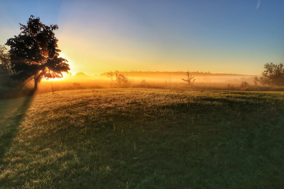 jamus91's tweet photo. Foggy sunrise
#kemble #greycounty https://t.co/PbdR3Wmyex