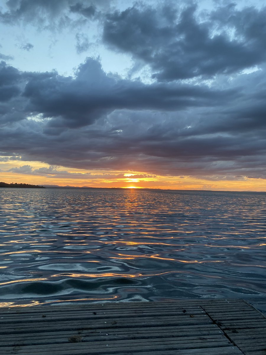 Zocco Beach tweet media