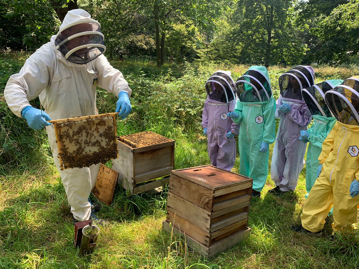 sfmtweet's tweet photo. It's the last week of visits to the wonderful apiary at Holland Park. By the end of the week, over 500 students will have had an up close and personal insight into honeybees, pollination and the importance they both have on the entire food system @WholeKidsFnd  #honeybeeprogramme https://t.co/Wjm8zh8Y6G