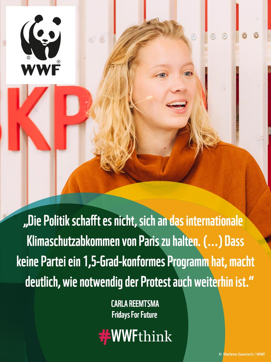 WWF_Deutschland's tweet photo. Die Parteien plakatieren #Klimaschutz, ihre Politik treibt aber die #Klimakrise, sagt @CarlaReemtsma (@FridayForFuture) bei #WWFThink. Eine Runde, mit viele Themen &amp; Debatte - auch dabei: @_LilliFischer, @_JanSchiffer. Angucken &amp; Teilen 💪 https://t.co/EqRUHq7z0e #AlleFuersKlima https://t.co/BLpBZfCZiW