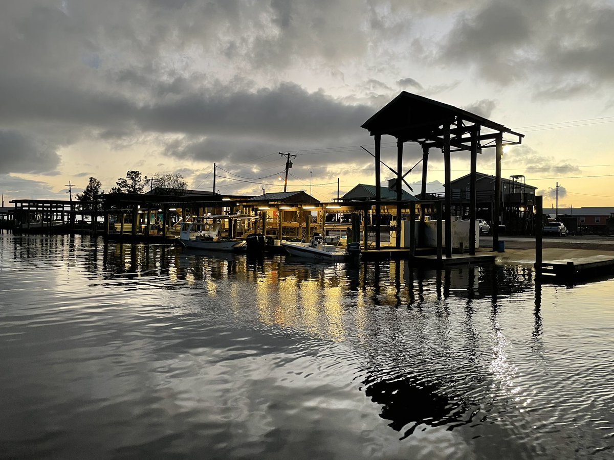 LOATV Show tweet media