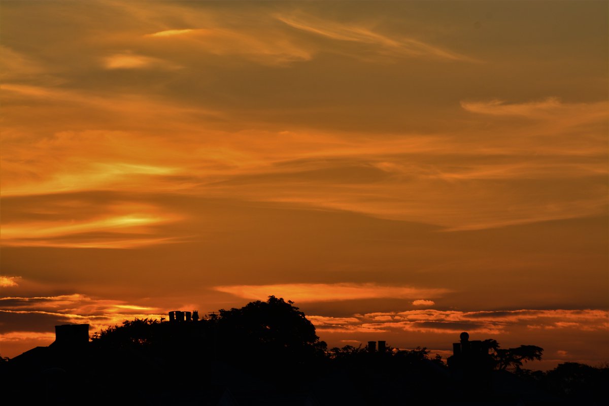 Thomas_Wheelock's tweet photo. A Red sunset
@TeddingtonNub @Teddington_Town @stormhour
@Visit_Richmond1 @TheroyalParks @BBCEarth
@natures_voice @SurreyLife @HRP_palaces
#BacklightWorld #Kingston #photography #EastMolesey #BushyPark https://t.co/y8y8uq6M3B