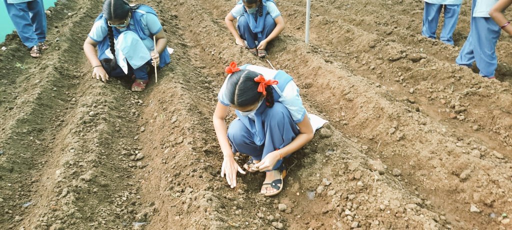 FALIAgriculture's tweet photo. Today was an exciting day for students from Dhanaji Nana Vidyalaya #Khiroda #Jalgaon

Students planted bitter gourd and sponge gourd in the school's shade-net.

#SchoolBasedAgriculturalEducation https://t.co/2g34dnuKS0