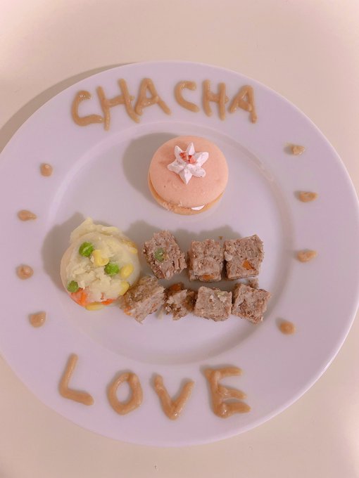 Watch ♥︎official_Hitomi♥︎'s leaked NSFW photo on TwXstars