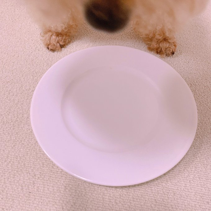 Watch ♥︎official_Hitomi♥︎'s leaked NSFW photo on TwXstars