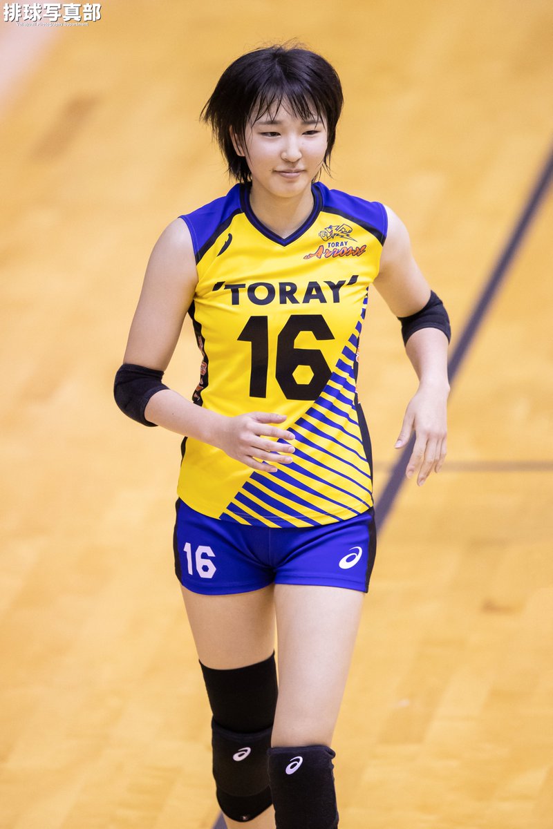 排球写真部 on X: 排球写真部 on X: