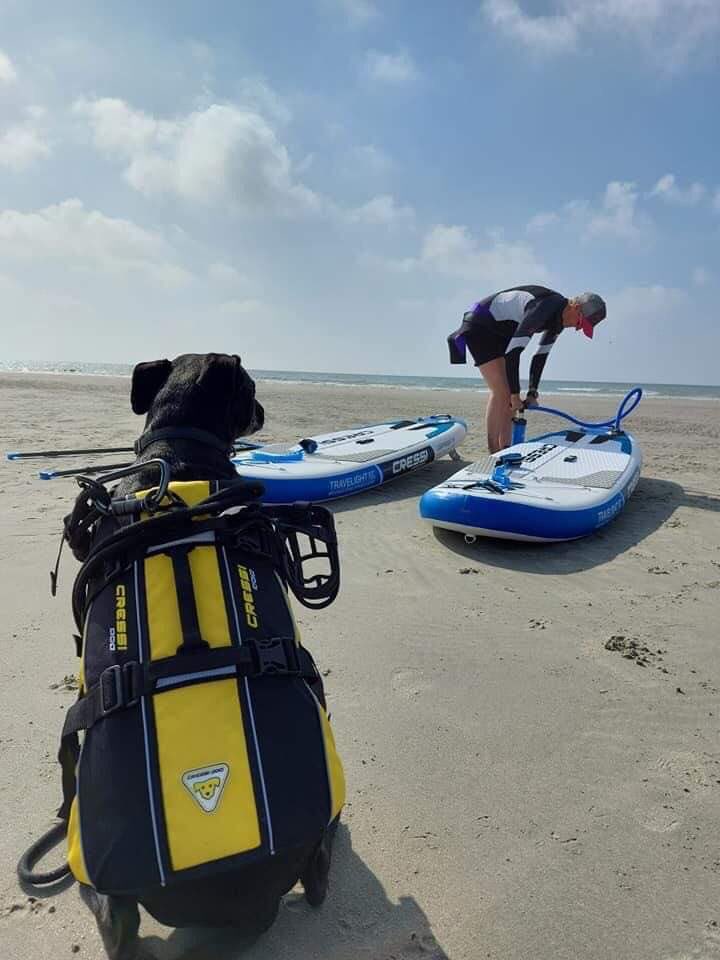 CressiItaly's tweet photo. Il cane, il migliore è fedele amico dell’uomo, sempre insieme per condividere ogni momento della vita.  Grazie a Dive Factory per questa bellissima fotografia.   
.
.
.
.
.                                                           #dogsup #suppaddle #suppaddleboard #cressidog https://t.co/1oStCXdDjH