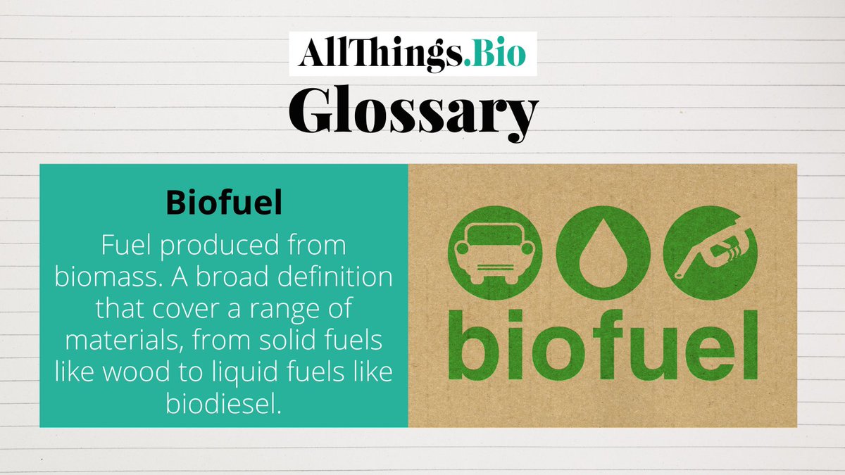 AllThings_Bio's tweet photo. โป๏ธ#Bioefuels are produced from crops that can also be used for food & animal feed
๐They are a kind of #renewableenergy derived from living materials
๐Discover more https://t.co/1pFBC1T7OG https://t.co/aym7SDGNbt
