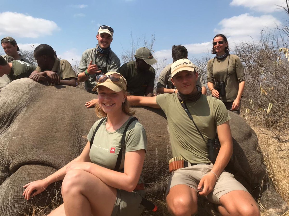 EcoTraining's tweet photo. Today is #WorldRhinoDay #WRD2021! π¦ π¦
#Rhino dehorning is seen as a temporary measure to prevent the killing of a #rhino for its #horn by poachers. Dehorning at #Selati reasearch #EcoTraining #TrailsGuide group ready to assist.
Photo credit: Steve Baillie https://t.co/VqVjDeIt58