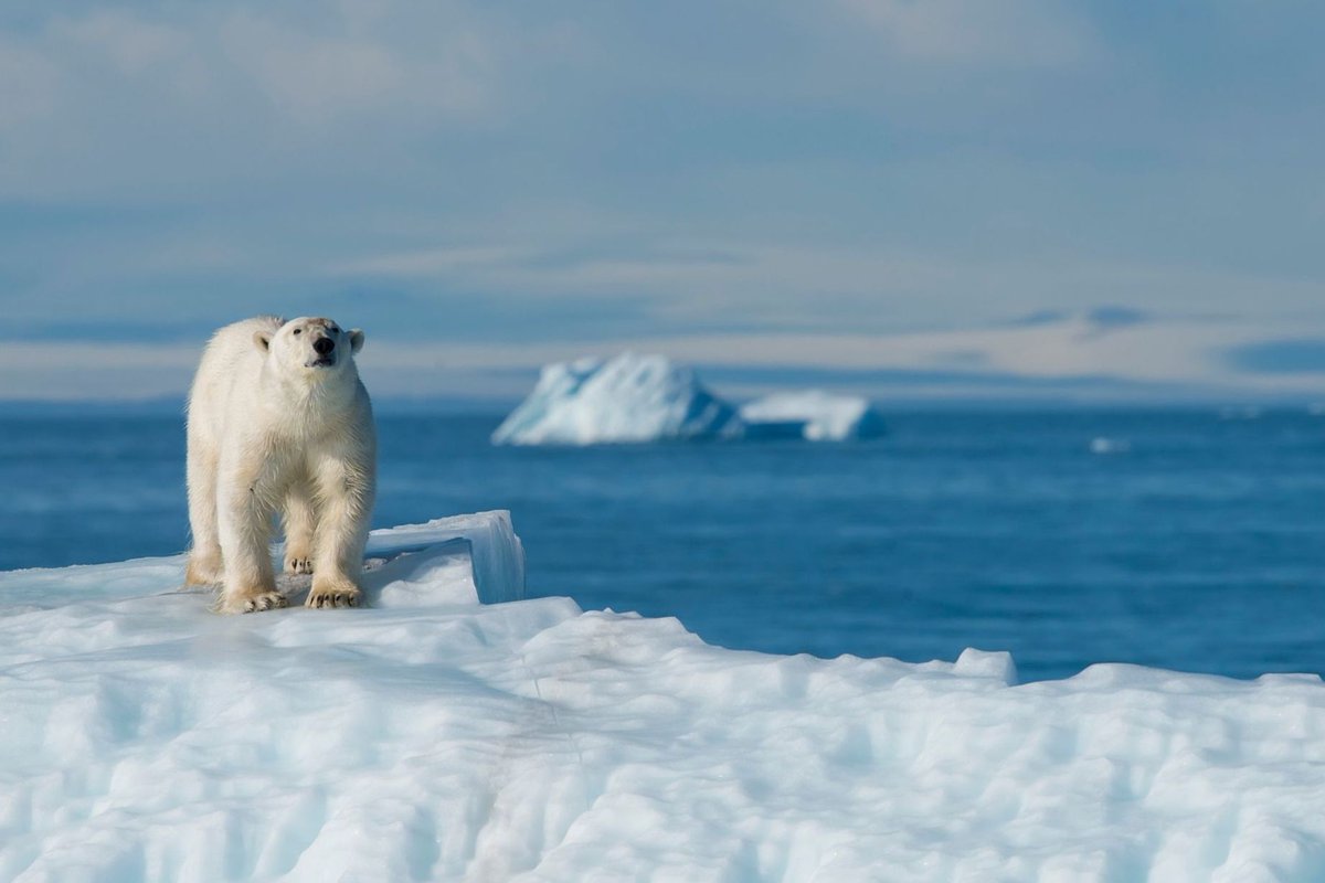 staoapso's tweet image. It&apos;s Science Literacy Week (@scilitweek) &amp;amp; the theme is #climate. Here are links to climate-related resources from #STAO:
1) stao.ca/resource/evide… 
2) stao.ca/resource/explo…
3) stao.ca/resource/retur…
4) stao.ca/resource/reduc…
5) stao.ca/resource/teach…
#ScienceLiteracyWeek