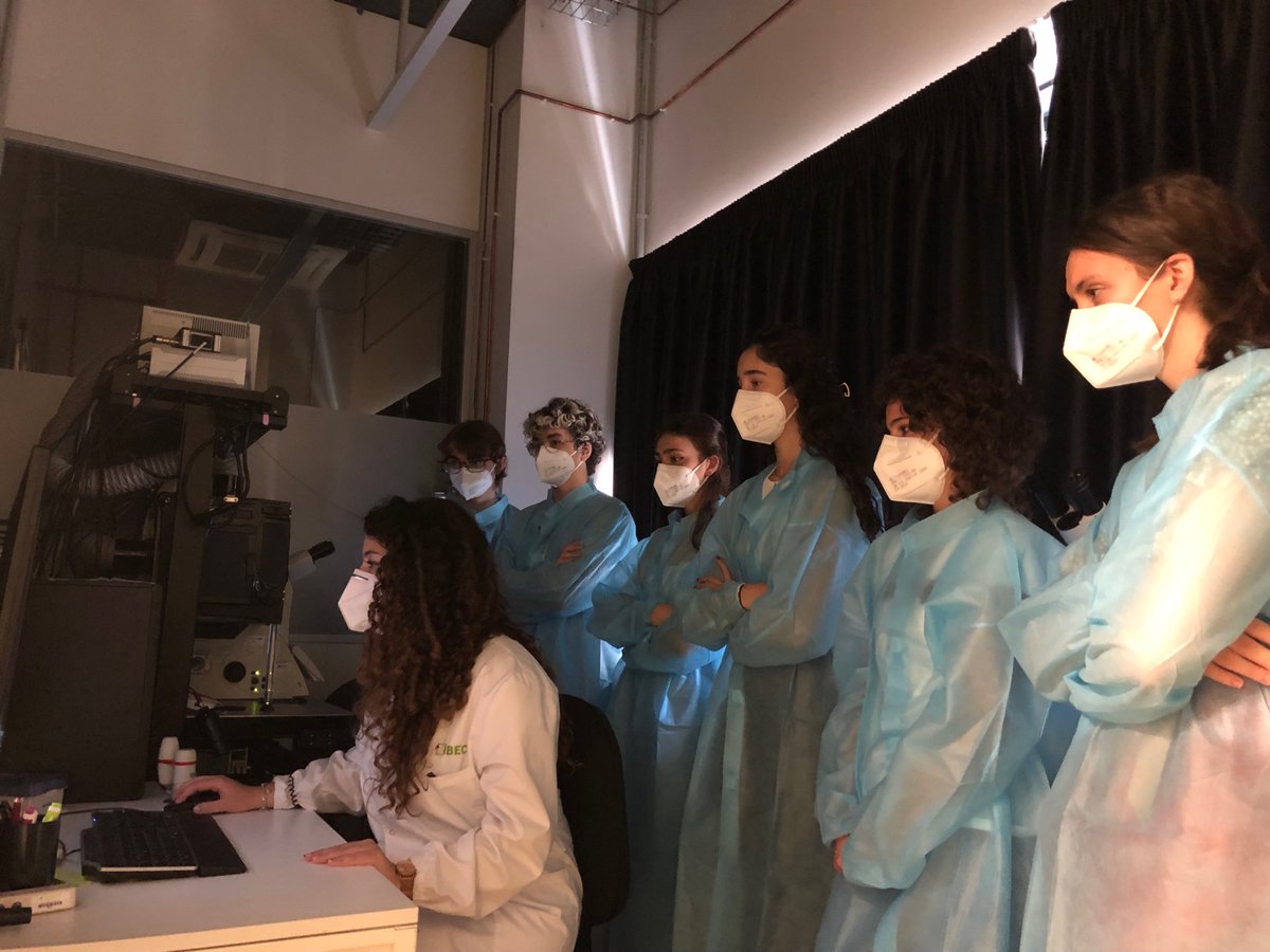IBECBarcelona's tweet photo. Els nostres bojos i boges per la #bioenginyeria han tornat als nostres laboratoris! Aquest passat cap de setmana van treballar l'internalització de #nanomotors en cèl·lules en 2D, esferoides i teixtis bioimpresos en #3D https://t.co/ZFta0j1vNf