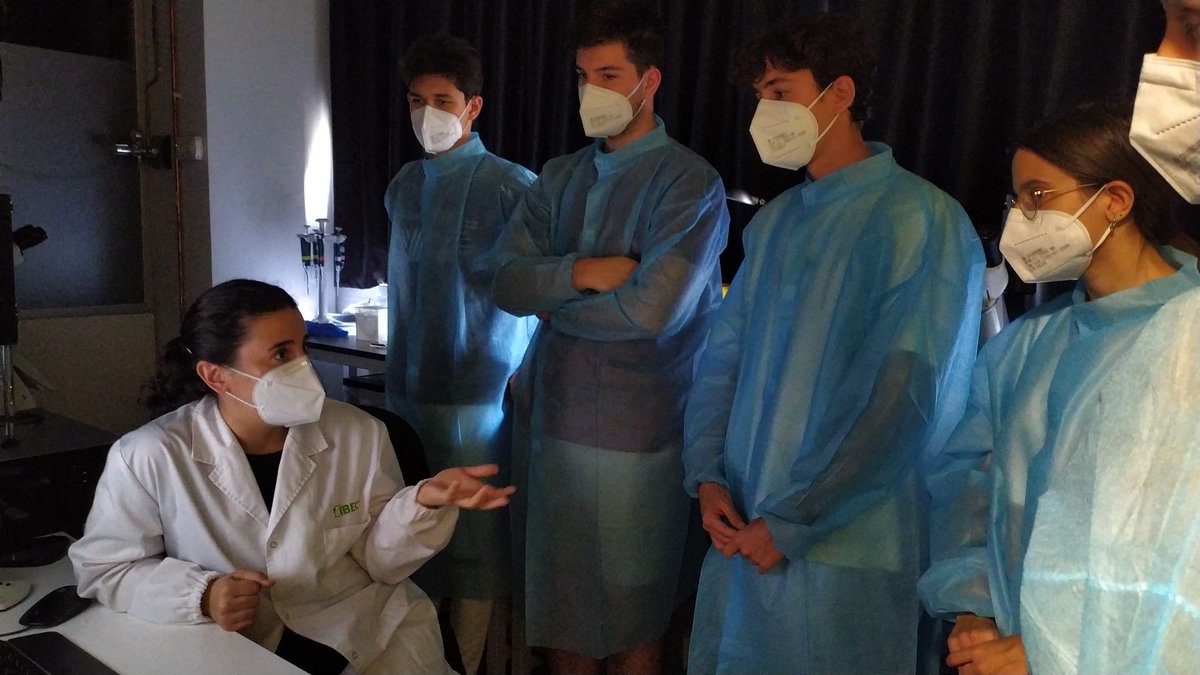 IBECBarcelona's tweet photo. Els nostres bojos i boges per la #bioenginyeria han tornat als nostres laboratoris! Aquest passat cap de setmana van treballar l'internalització de #nanomotors en cèl·lules en 2D, esferoides i teixtis bioimpresos en #3D https://t.co/ZFta0j1vNf