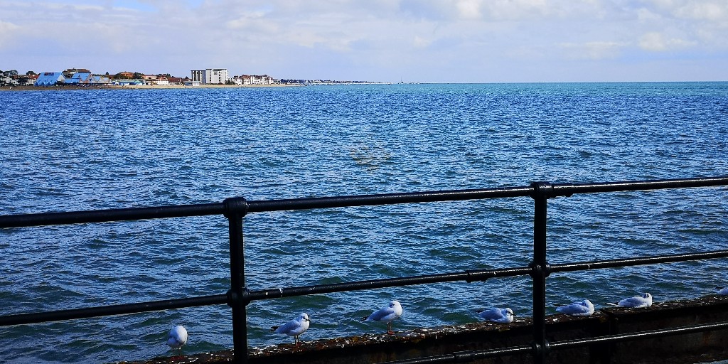 southend_pier's tweet photo. #WildlifeWatch 👀
Challenge the kids on your next visit with our Wildlife Watch challenge! Pick up a leaflet from the Visitor Information Centre and simply tick off our wild visitors when you see them! How many of our neighbours will you spot? 👉 https://t.co/jEmbMbpICE https://t.co/AiIfoMK6SR