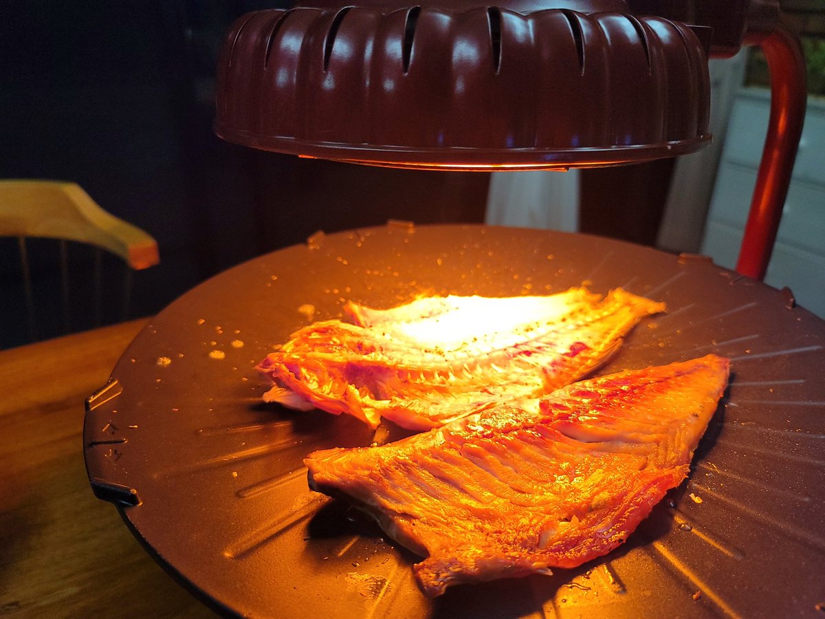 미공개 사진이랑 고등어+옥돔구이🐟
처음 먹어본 옥돔의 맛은 : 살은 고등어 보다 부드럽고 맛은 담백하였따 (겉바속촉)

#🌈