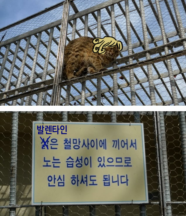 사모ᴴᴵᵀ tweet media