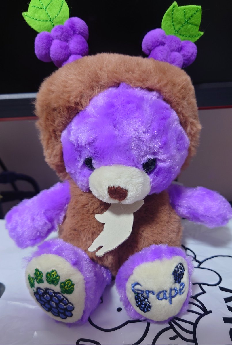 函館空港から羽田空港