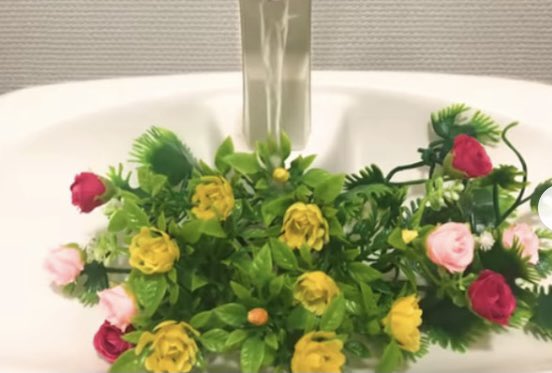 便所のタンクの上に咲く専門の花 Twitter Search Twitter