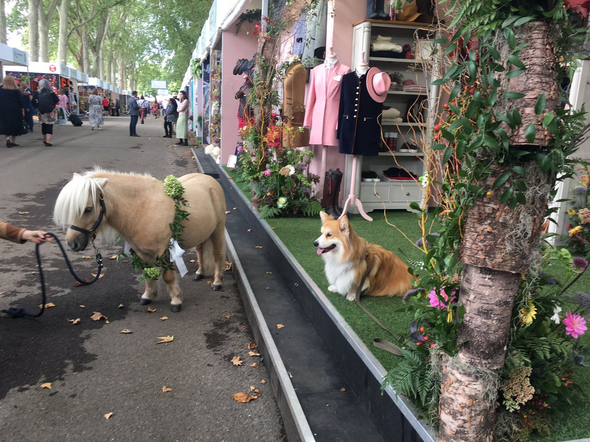 There’s always space for #randomanimals at #RHSChelsea....