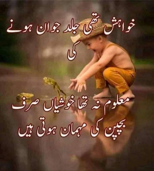 Zaib Baloch (@aminzaib2) on Twitter photo 