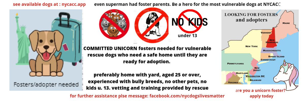 NMBewitched's tweet photo. 🆘️🚨🆘️#NYCACC🆘️🚨🆘️
Kill List 9/21
Tuesday's are the Toughest
8 Precious🐕
4 Re-Listed
Callum
Phoenix
Sammy
Sun
4 Newbies
Baby
Mortimer
Power
Squeaker
All Deserve the Right
2 Live & Thrive
#Pledge & #Share
#mondaythoughts
#FostersNeeded
Email
nycdogslivesmatter@gmail.com https://t.co/AFvSVyXmBN