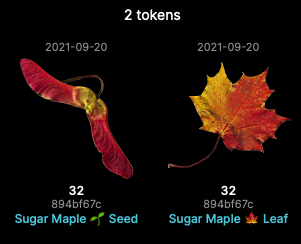 0xD9E0's tweet photo. My wife love to walk through the autumn forest and collect fallen leaves 🍂
We decided to share the most beautiful pieces via #CNFT. The start of collection is Sugar Maple Leaf🍁 and Seed🌱
We used Hi-DPI scanner and slightly retouched.
#NFTGivaway just DM, its free. https://t.co/BTuBAJQdjR