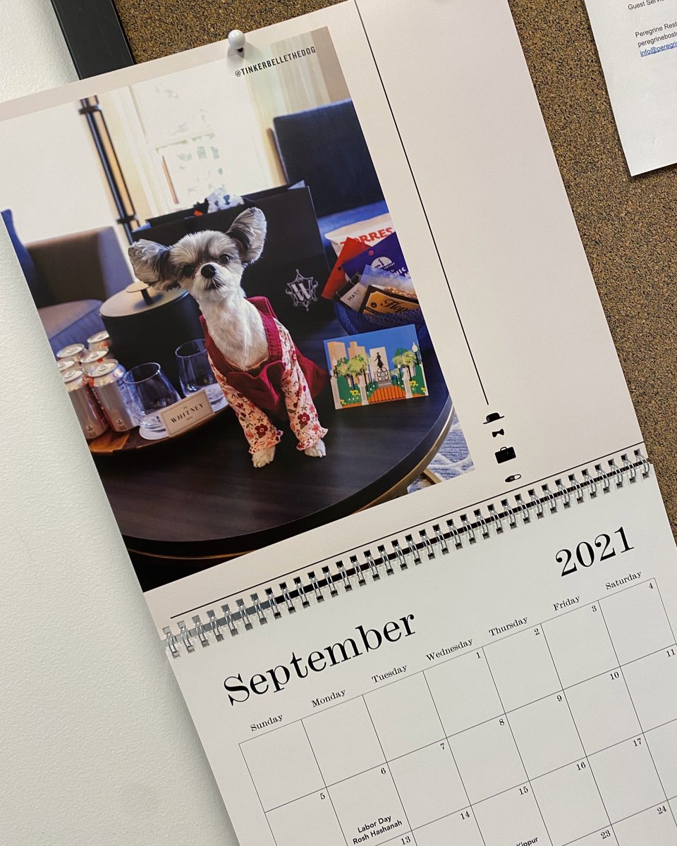 Look who’s Miss September on our Whitney Wags calendar…

🐶: tinkerbellethedog on Instagram