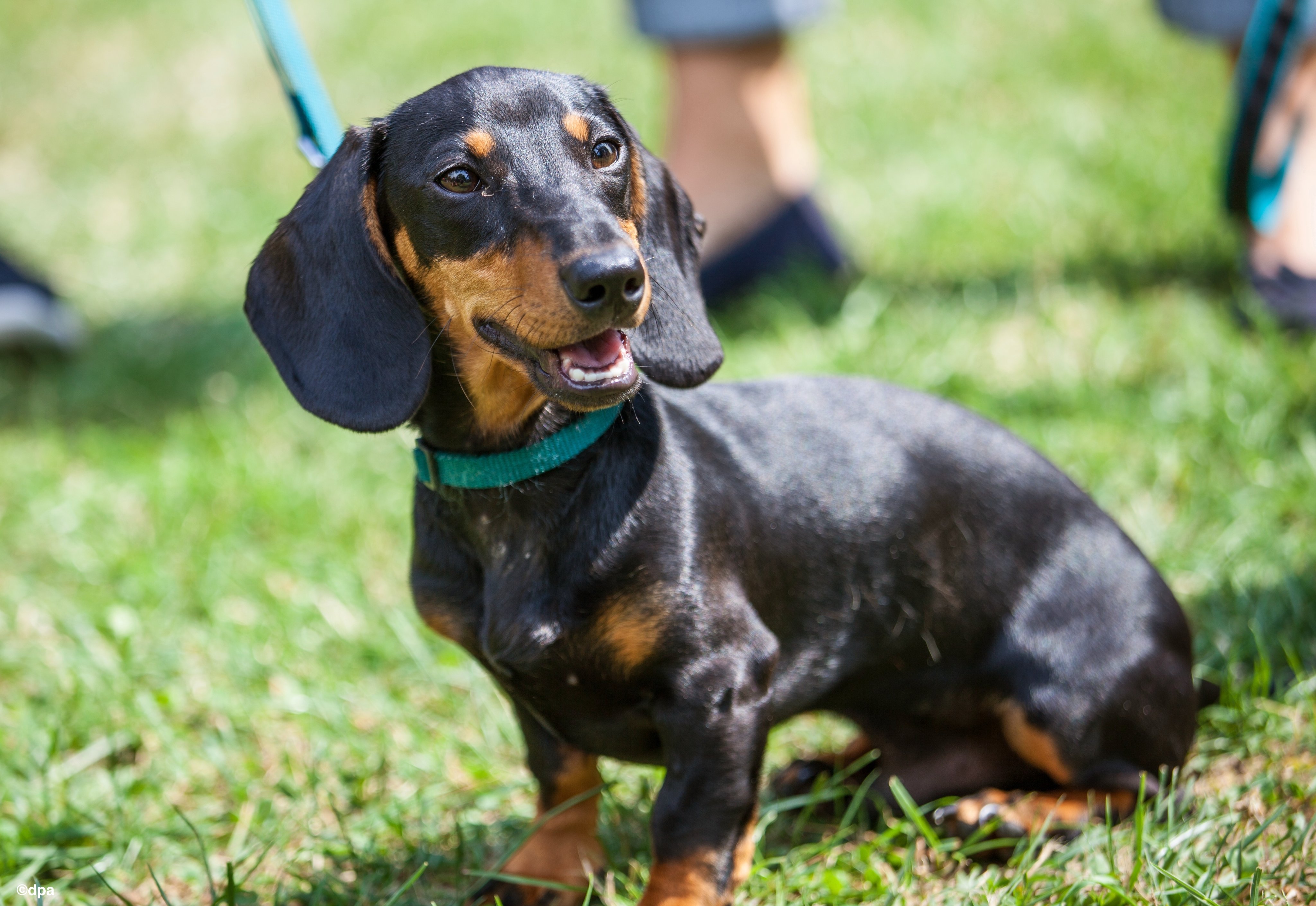 Tweets With Replies By Yomogi Koch Wear Wash Keep Azukingy Twitter