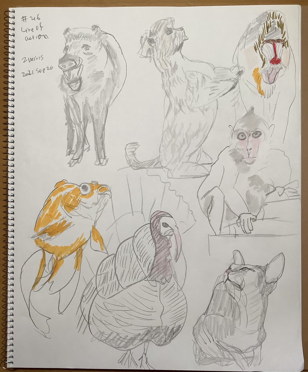 Mollykinoco's tweet image. #lineofaction #croques 216回目。人物60秒。動物2分。