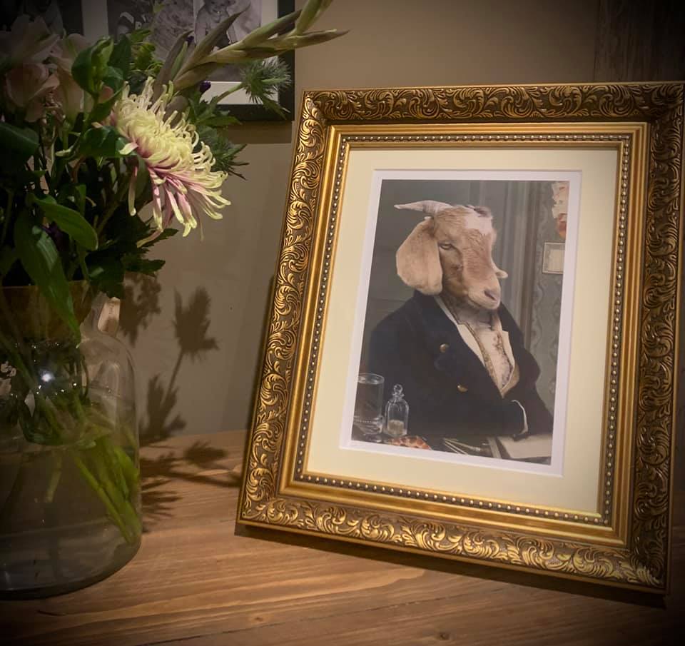 Do you and your partner have a commitment animal?🐐 Then we've #goat the perfect #petportrait for you. 

Why not get a commissioned picture of your pet, just like <a href="/Netflix/">Netflix</a>'s #SexEducation stars Amiee and Steve's commitment goat.🐐

📸purrandmutt.com📸