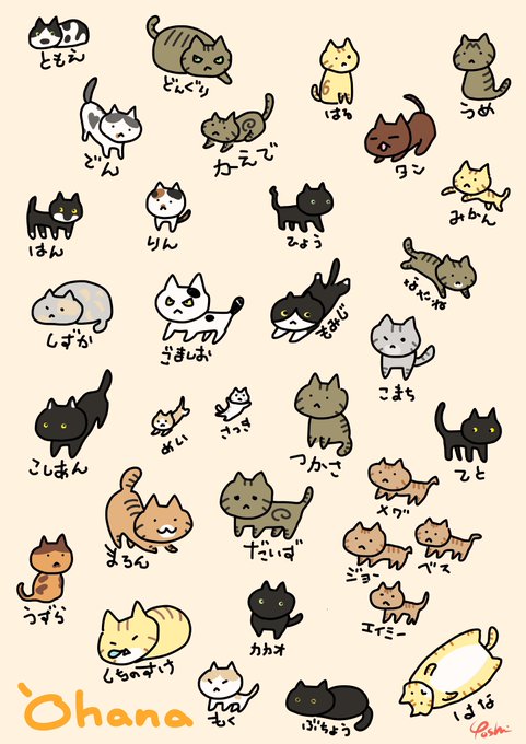 保護猫カフェオハナのtwitterイラスト検索結果 保護猫カフェオハナのtwitterイラスト検索結果