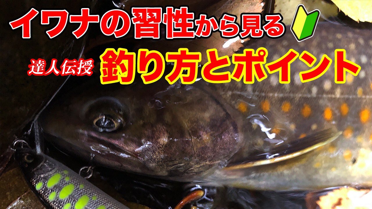 釣り探訪チャンネル 動画公開しました 木曽の達人はここを見る 川選びから イワナが居るポイント ルアーでの釣り方のコツなどを伝授 初心者の方必見です 習性から見るイワナの釣り方と好みのポイント 木曽の達人がこっそり伝授 初心者必見 渓流