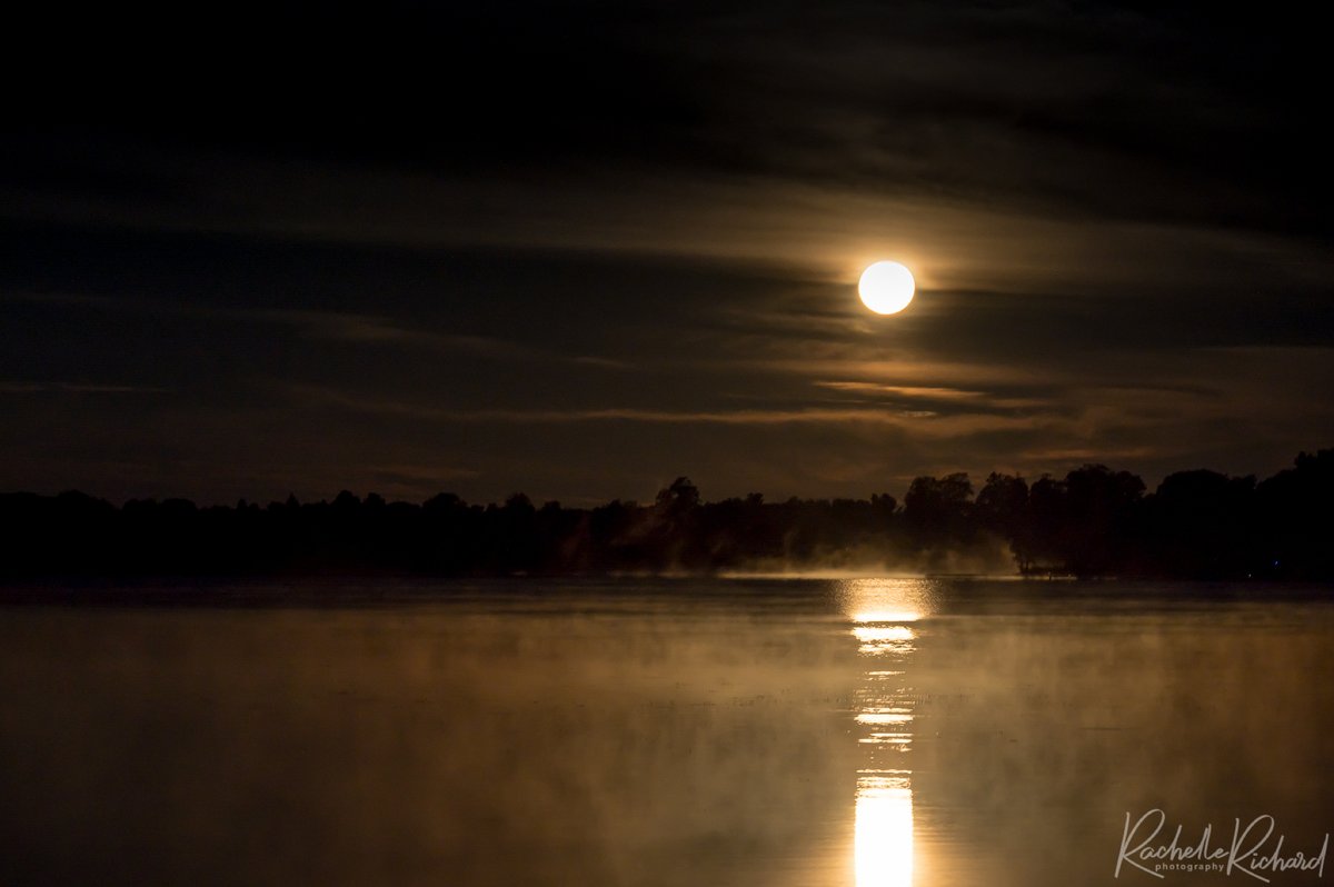 rachrichphoto's tweet photo. Moon at 5:30am over Lake Scugog, worth getting out of bed for! #fullmoon #harvestcornmoon #cornmoon #septemberfullmoon #kawarthalakes #ShareYourWeather #thephotohour @weathernetwork @KMacTWN 
https://t.co/Alz2n5dewP https://t.co/mgufdtrV15