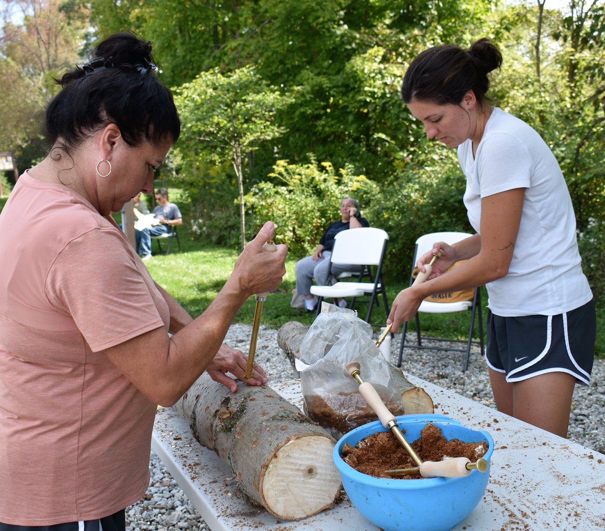 StateExtension's tweet image. Growing mushrooms was the topic of the day Saturday at the CSU Seed to Bloom Botanical and Community Garden!