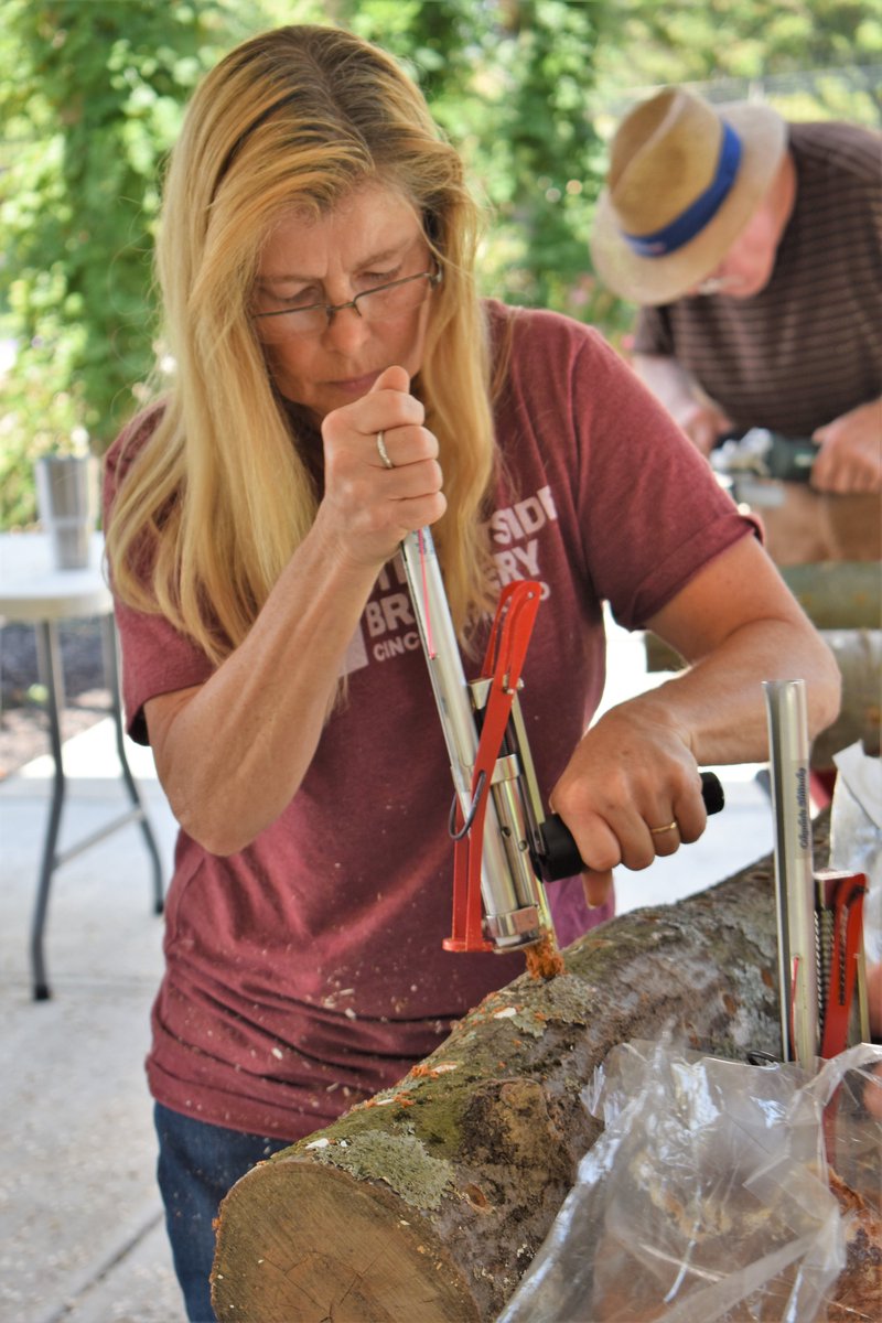 StateExtension's tweet image. Growing mushrooms was the topic of the day Saturday at the CSU Seed to Bloom Botanical and Community Garden!
