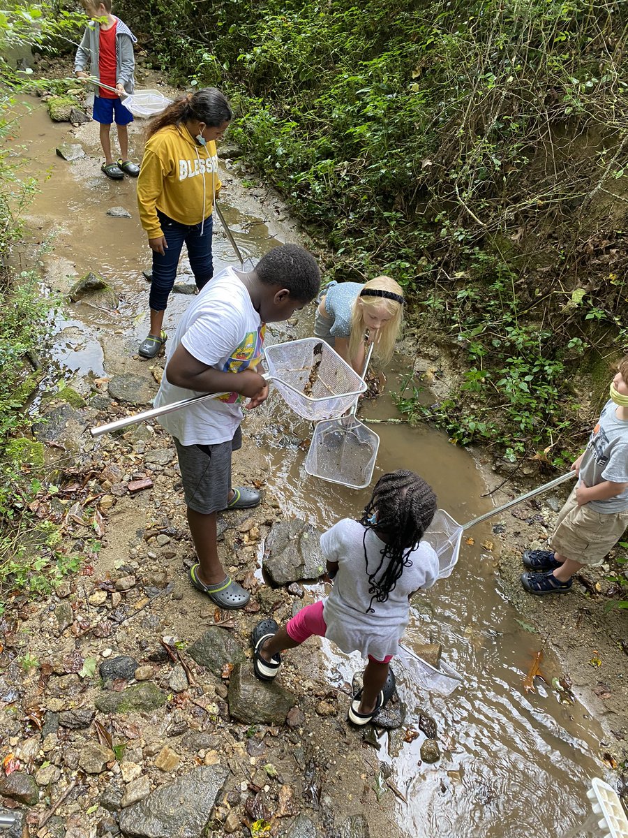 dcwmains's tweet photo. Fun at the Creek with River Link! Summer Learning at its finest! #HES🪳🪱🦎 https://t.co/iXzdWsnCf0