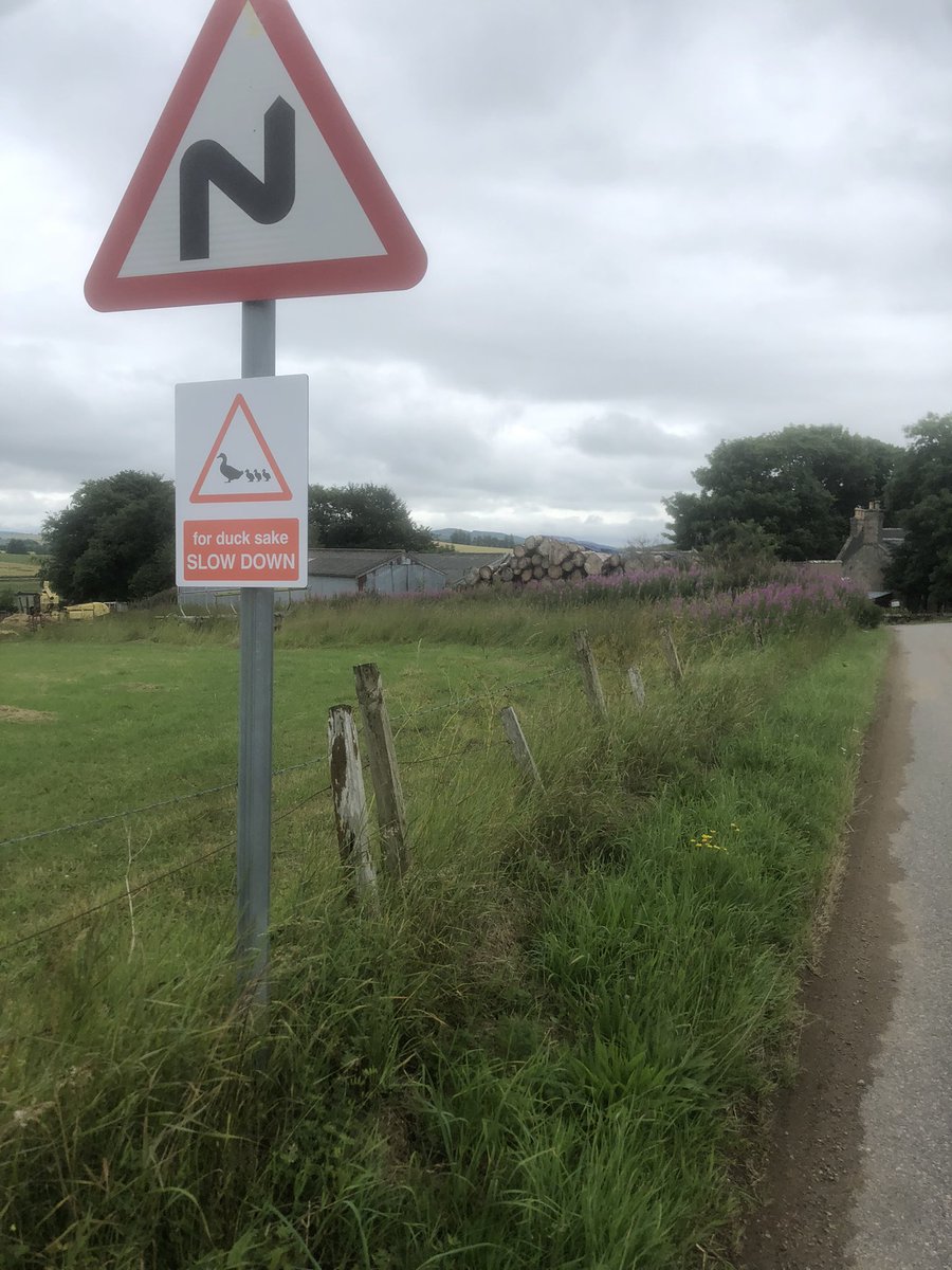 25 rides, 1,716km, 354 points, countless coffee &amp; cake stops and a good few weekends away that I almost certainly wouldn’t have done if it wasn’t for <a href="/ride_the_north/">ride the north 🚴🏻‍♀️🚴🚴‍♂️🏴󠁧󠁢󠁳󠁣󠁴󠁿</a> 153. Petition for a return in 2022! Going for 890 next year 👀