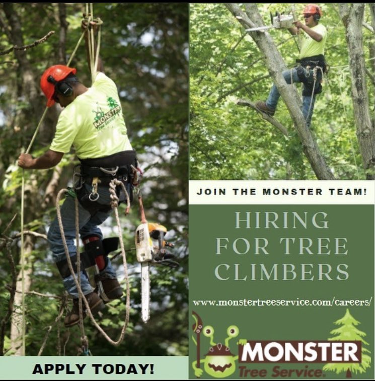 Monster_Careers's tweet image. #Monstertreeservice #Nowhiringclimbers #Applytoday