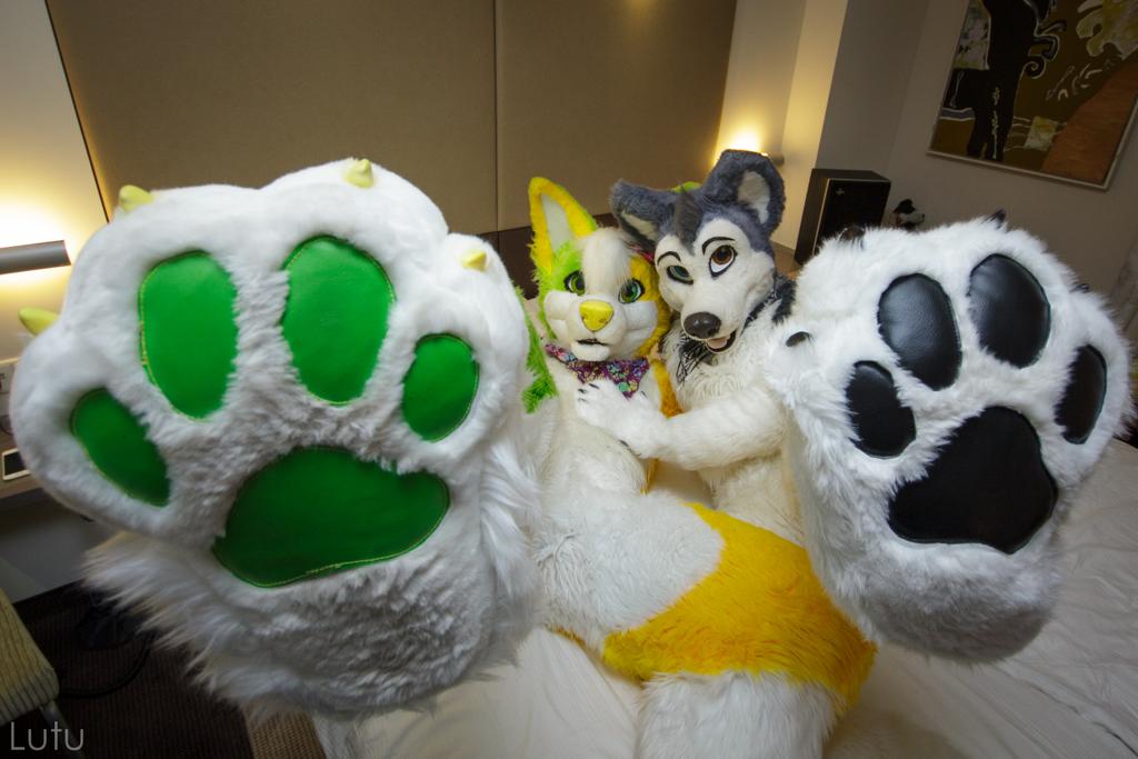 Did somebody ask for paws? 

Me and <a href="/AorooHusky/">Aoroo</a> can provide you with some 💛💚🤍🖤

#MFYMonday 

📸 <a href="/Lutufox/">Lutu 💙💛 🔜 NFC</a>