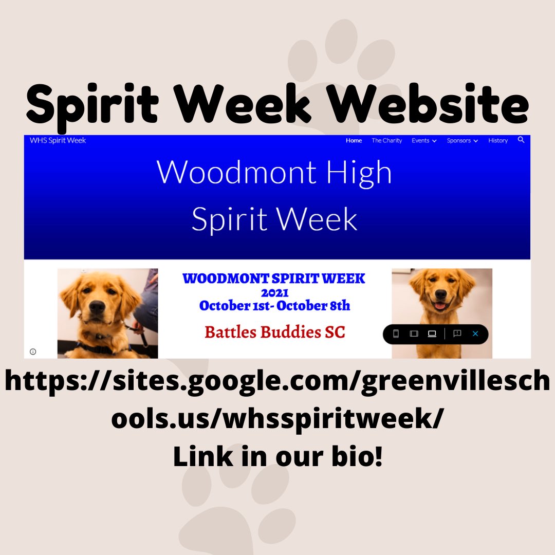 Does Spirit Allow Service Dogs